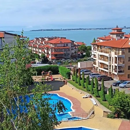 Royal Palm 170 * 圣弗拉斯
