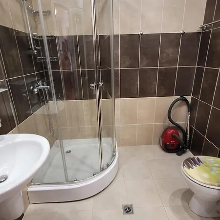 Royal Palm 170 圣弗拉斯