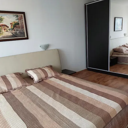 Royal Palm 170 圣弗拉斯